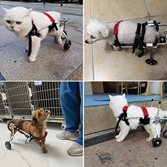Like new XS pet/ dog wheelchair
